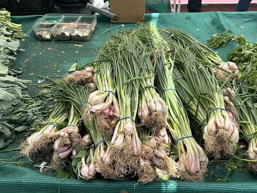 spring onions