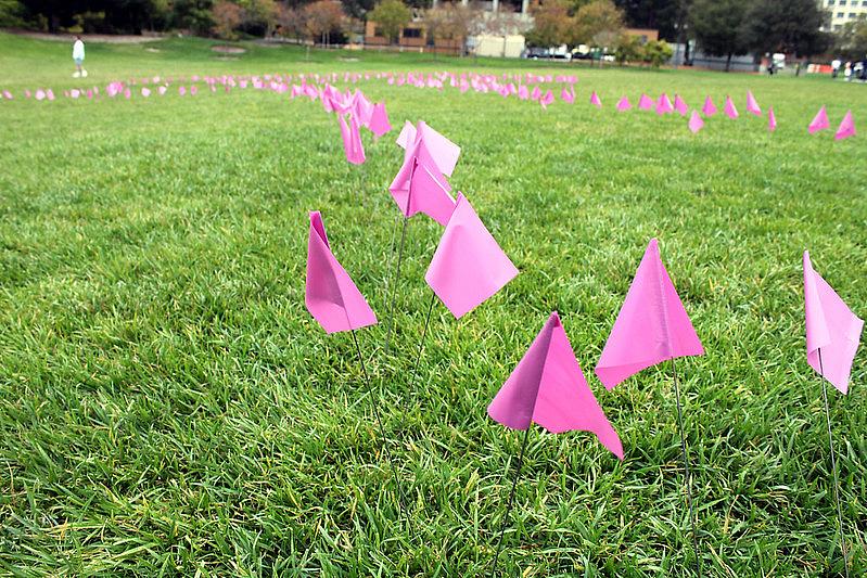 Small pink flags planted in a garden