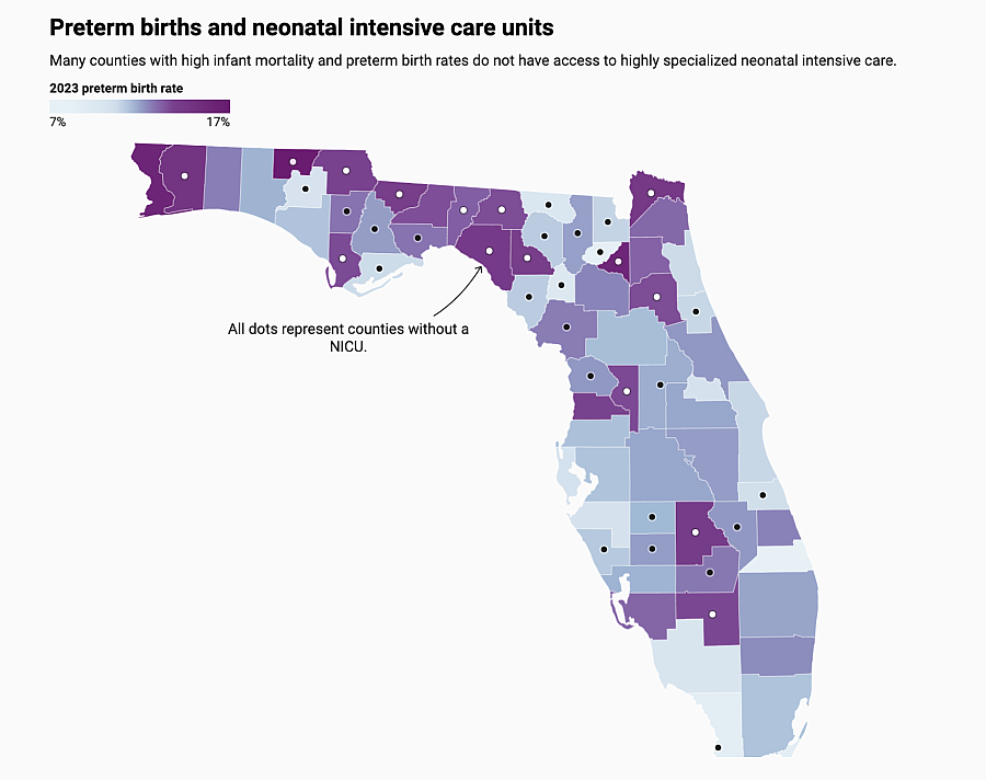 map showing preterm births and neonatal intensive care units