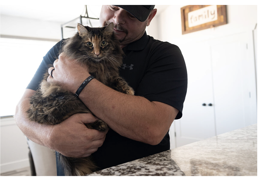 Person holding a cat