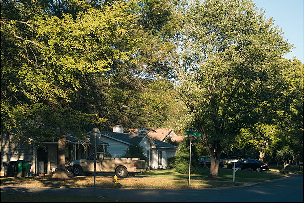 House surrounded by trees