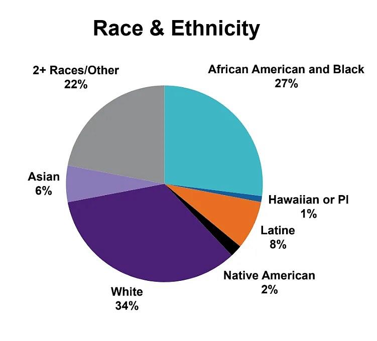 a chart on race and ethnicity