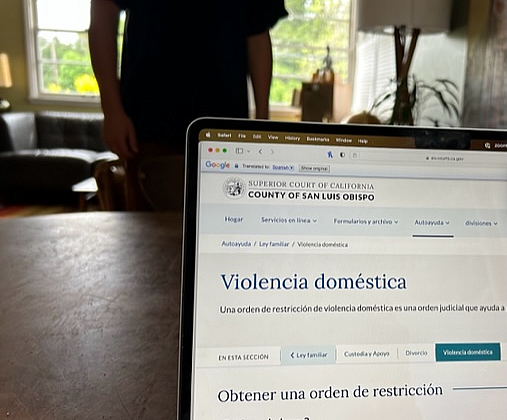 Image of a laptop with page saying 'Violencia domestica'