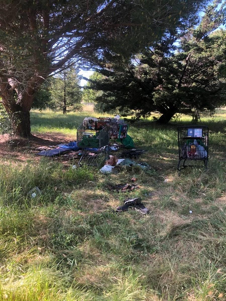 Shopping carts full of personal items in a park