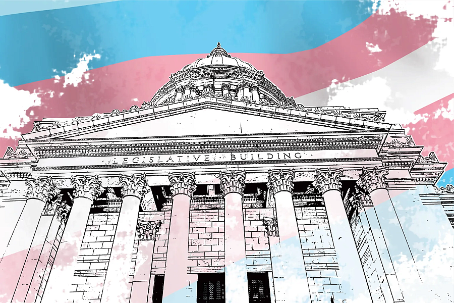 A sketch of US Supreme Court with trans flag as background