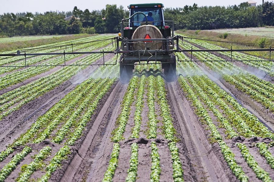 Tractor on a field 