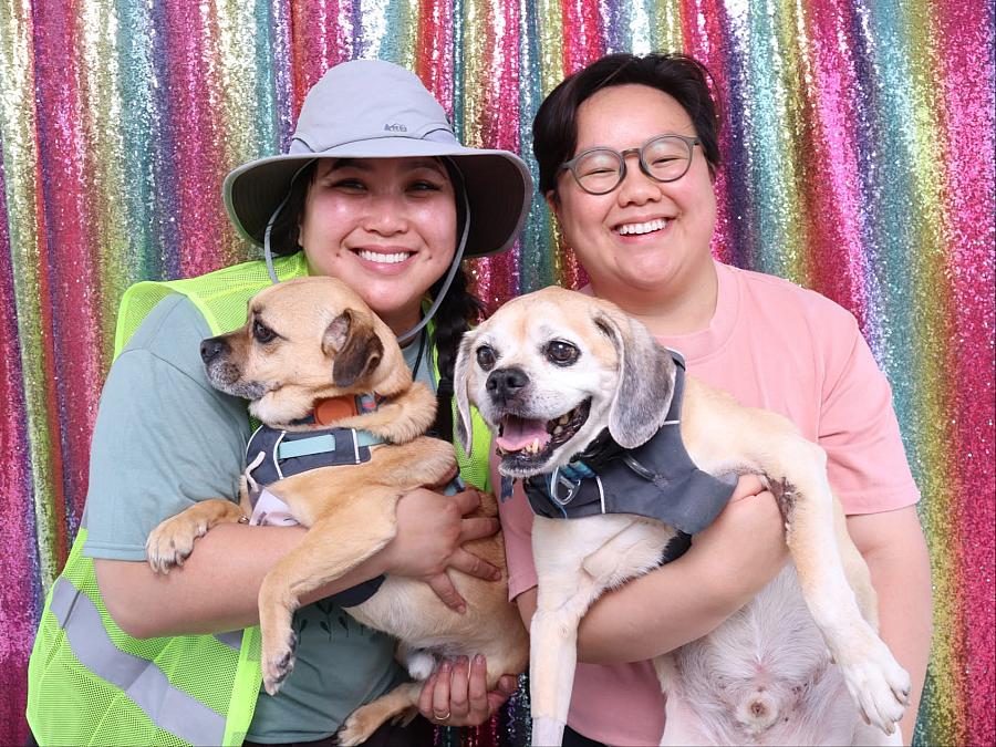 Two people with dogs