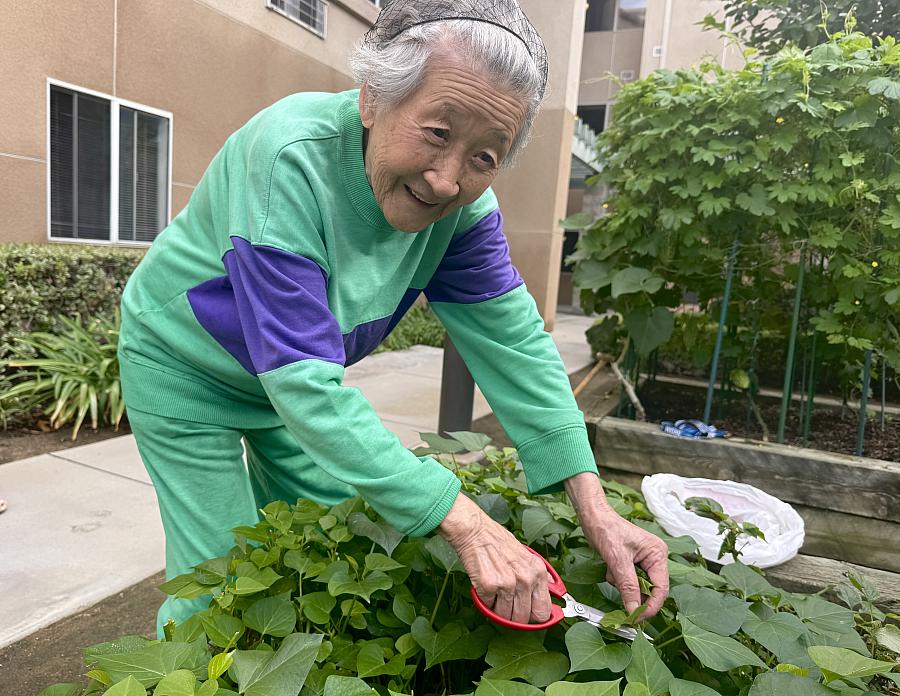 a woman gardening
