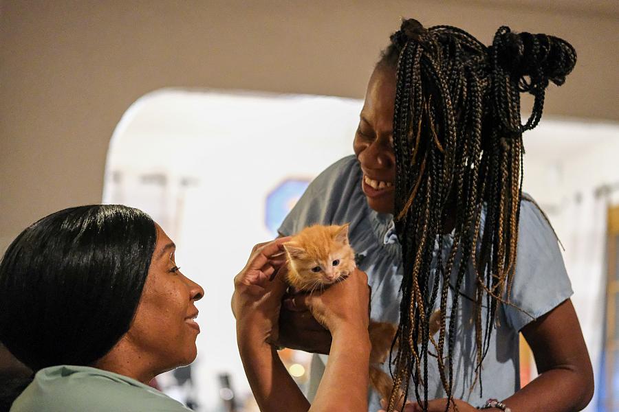 2 people playing with a kitten