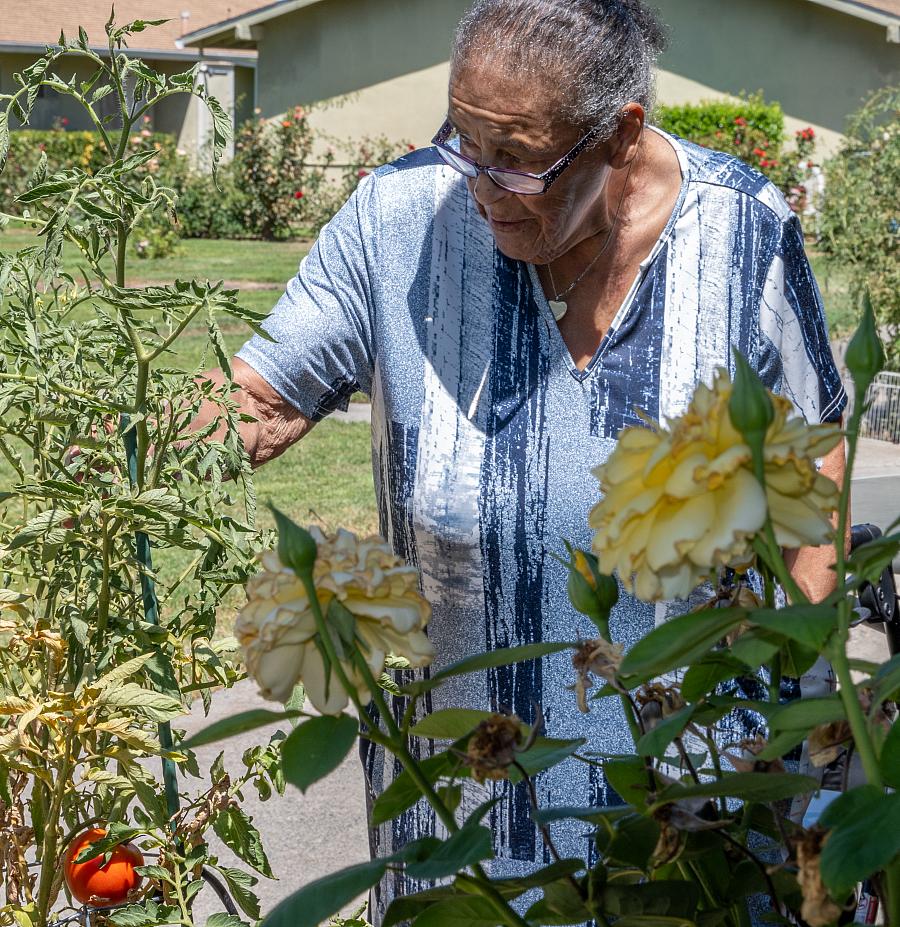 woman tending plants