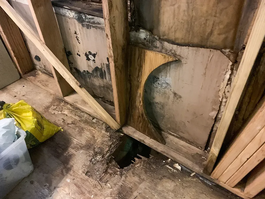 Rotten wooden floor and wall framing with mold damage and a hole in the floor.