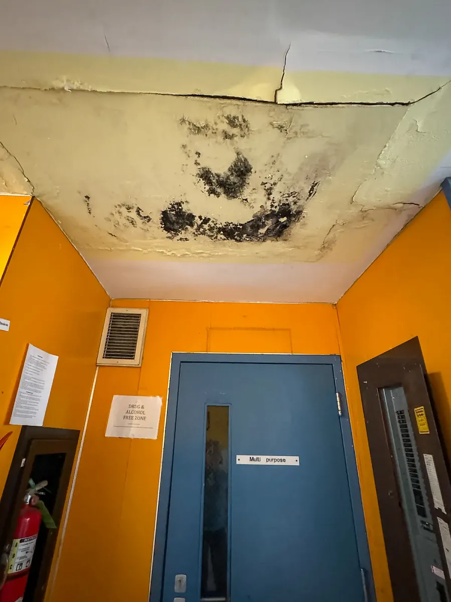 Ceiling in a yellow-walled hallway with large black mold patches and visible cracks.