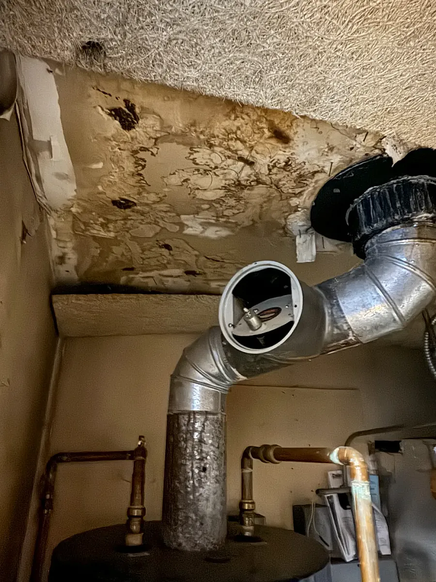 Ceiling above a boiler stained with heavy water damage and mold near exposed ventilation pipes.