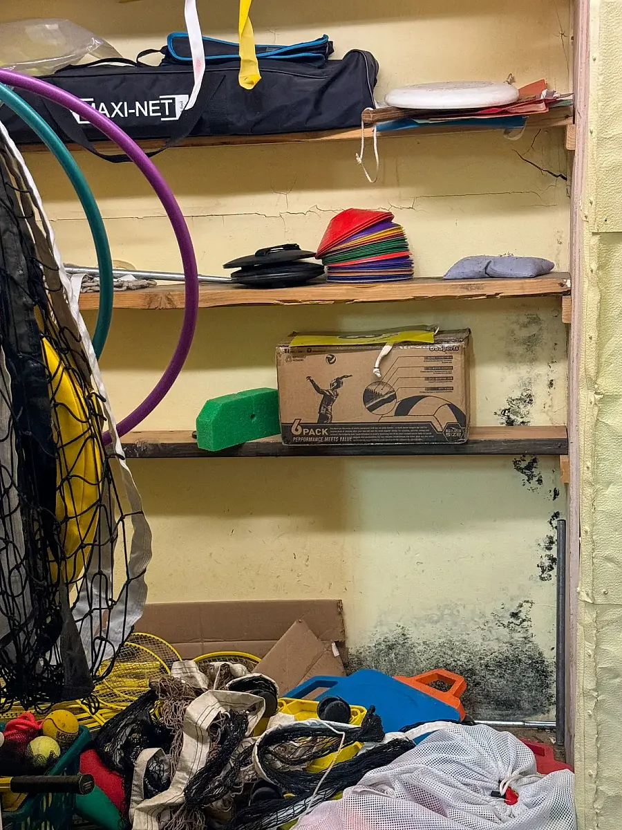 Storage area with sports equipment and visible mold growth on the lower wall behind shelves.