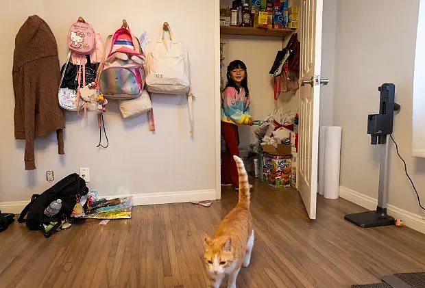Child in pantry, cat walking in foreground