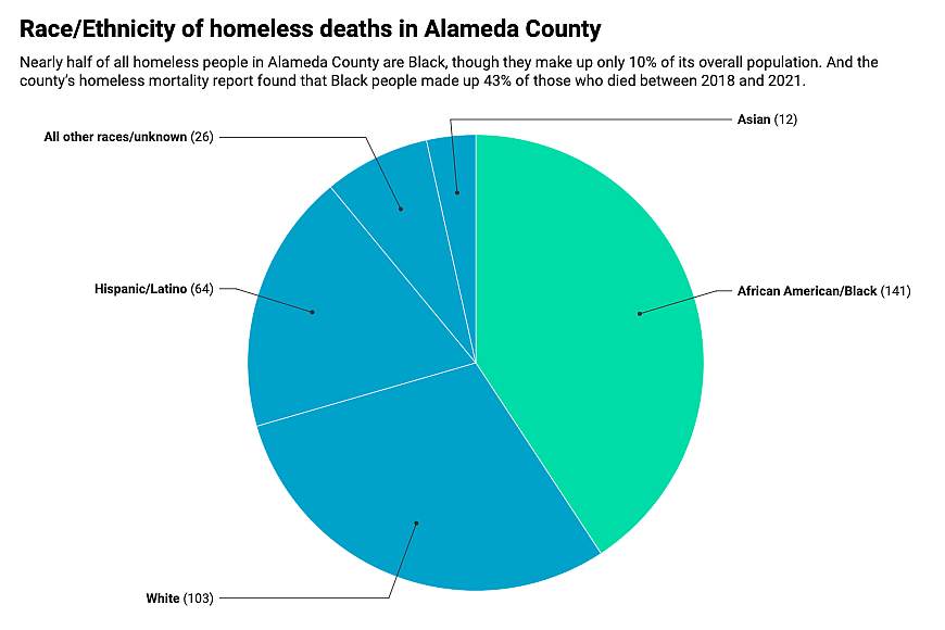 Pie Chart showing race and ethnicities of homelessness deaths