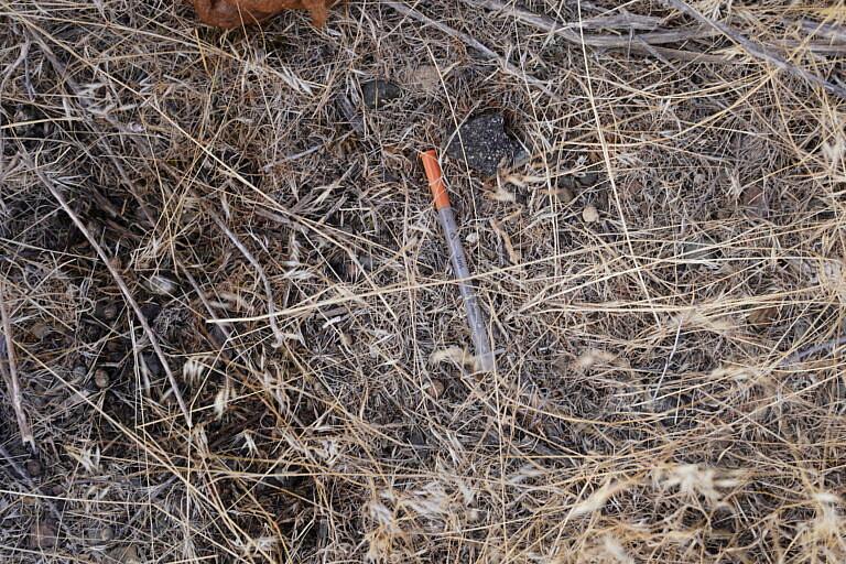 A used syringe discarded in dry grass and weeds, suggesting drug use in the area.
