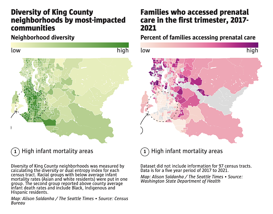 2 graphs, left, Diversity of King County. Right, Families who accessed prenatal care