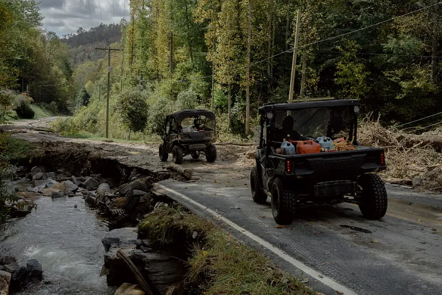 Two cars in the woods