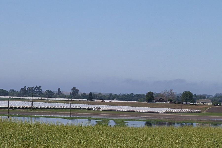 Image of agricultural field