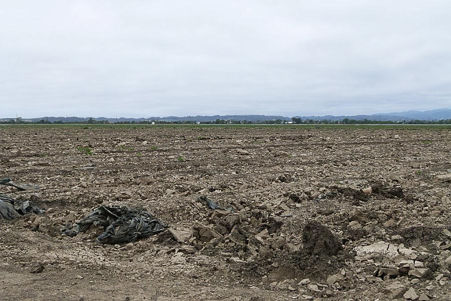 Image of field after floods.
