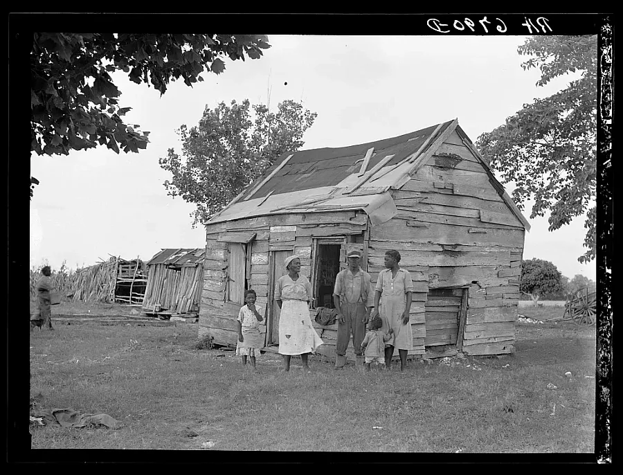 People standing in front of a wooden hut with trees in the background