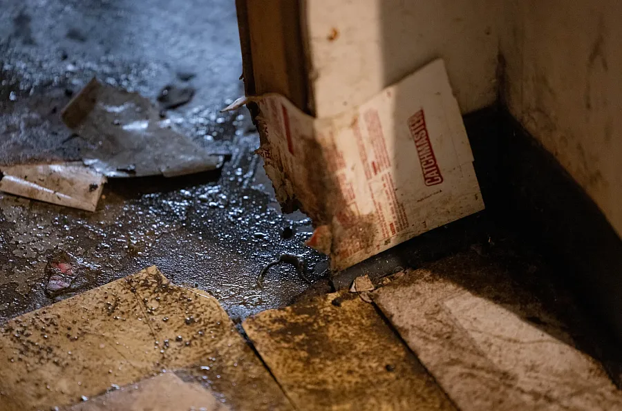 Water-damaged floors 