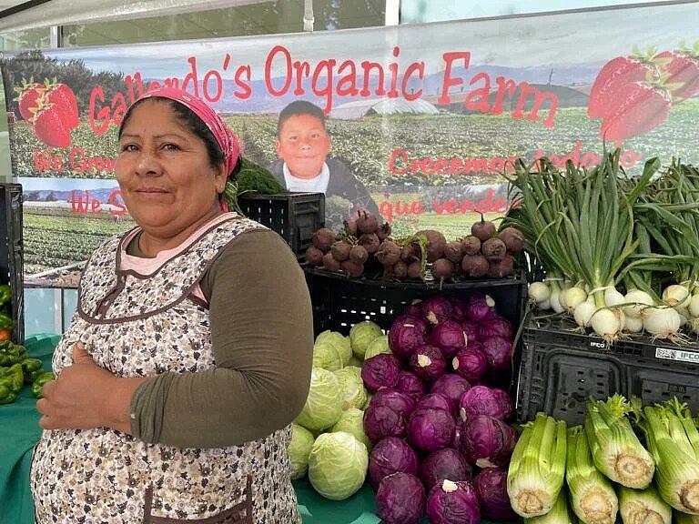 An image of a person outside organic farm