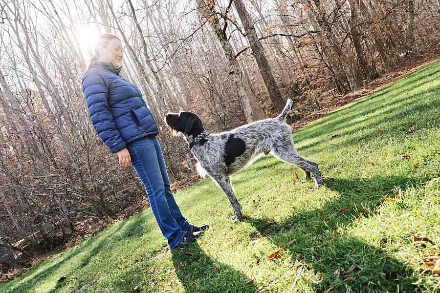 person and dog