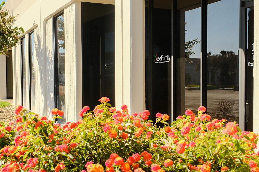 Flowers with a window behind
