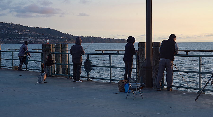 Image of people fishing at pier