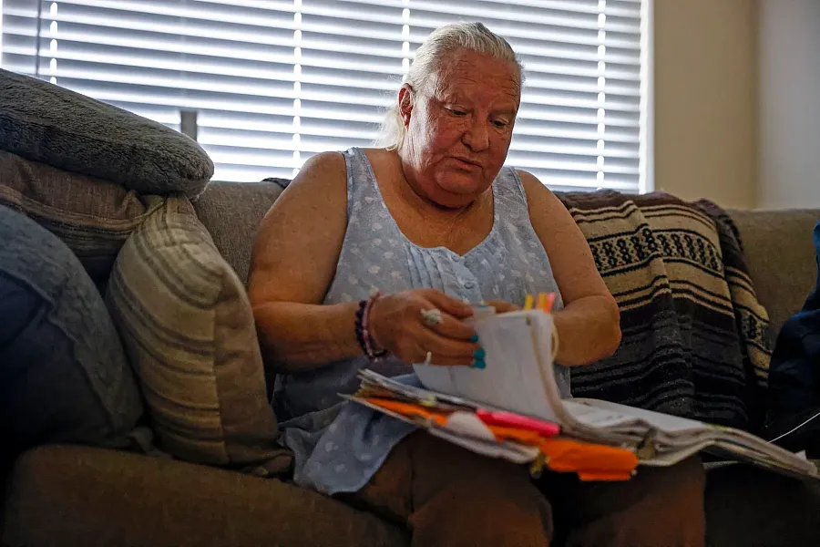 Person going through a file