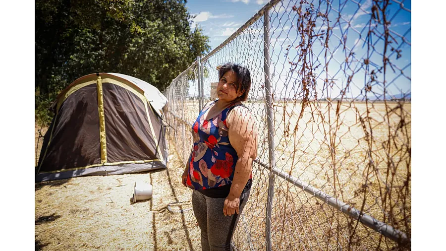 Person standing by a fence