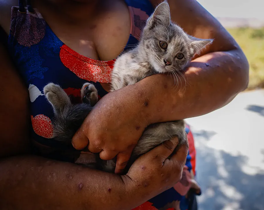 Person holding a cat