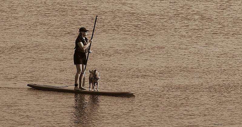 Image of a person with dog on surf board in water