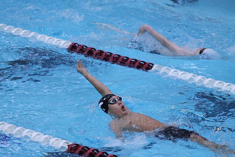 person swimming