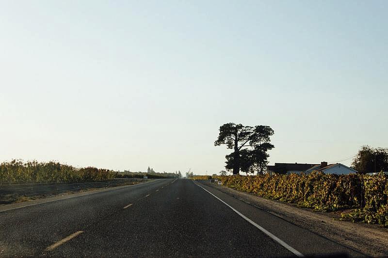 Fresno, California. Credit: Lauren J. Young