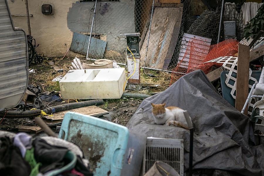 A cat sitting on piles of garbage.