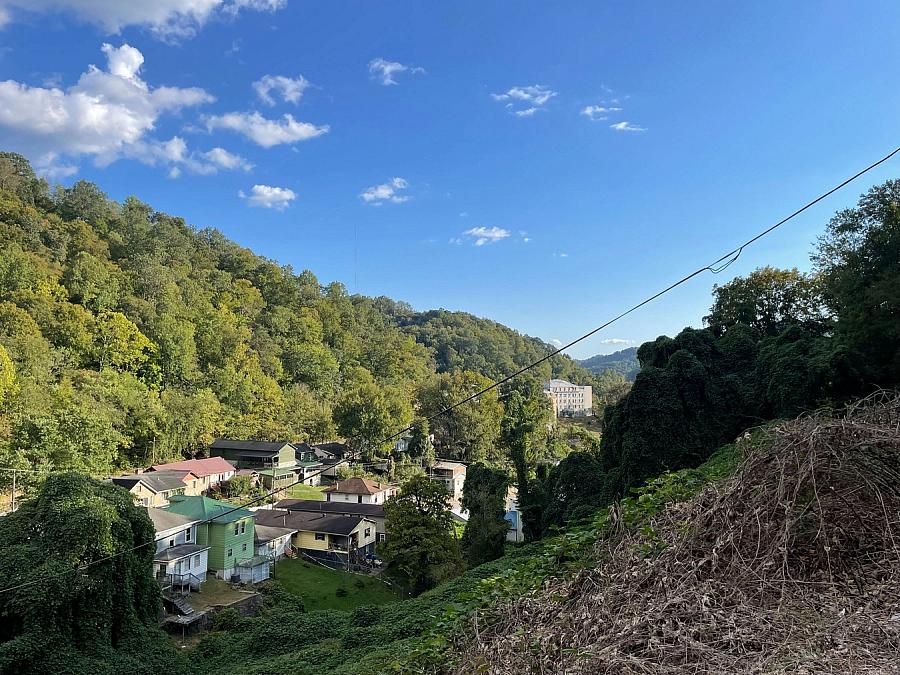 View of a lush hill with trees and buildings