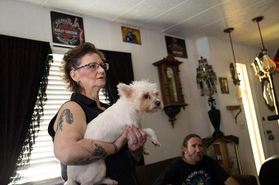 Persona sosteniendo un perro
