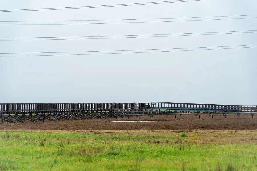 Raised wooden boardwalk stretching across grassy marshland.