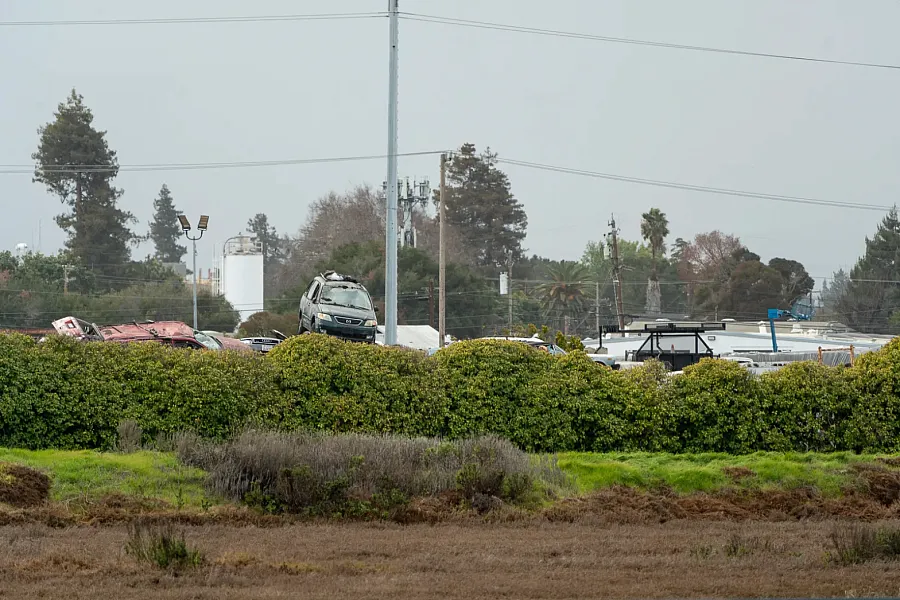 Wrecked cars behind bushes near a marsh area.