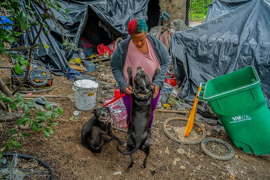 A person with a dogs, tents in the background
