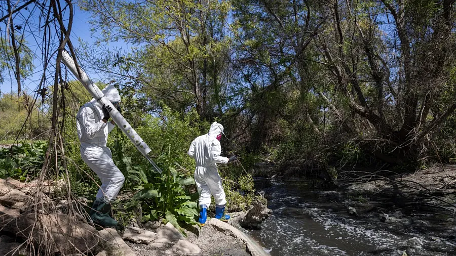 Two people in PPE suit walking in greenary