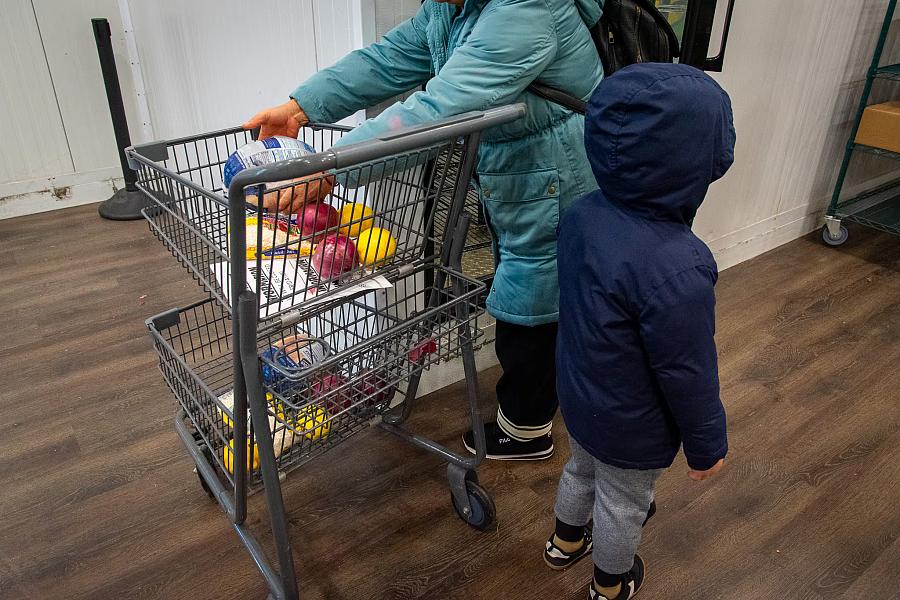 Person and child with a trolley