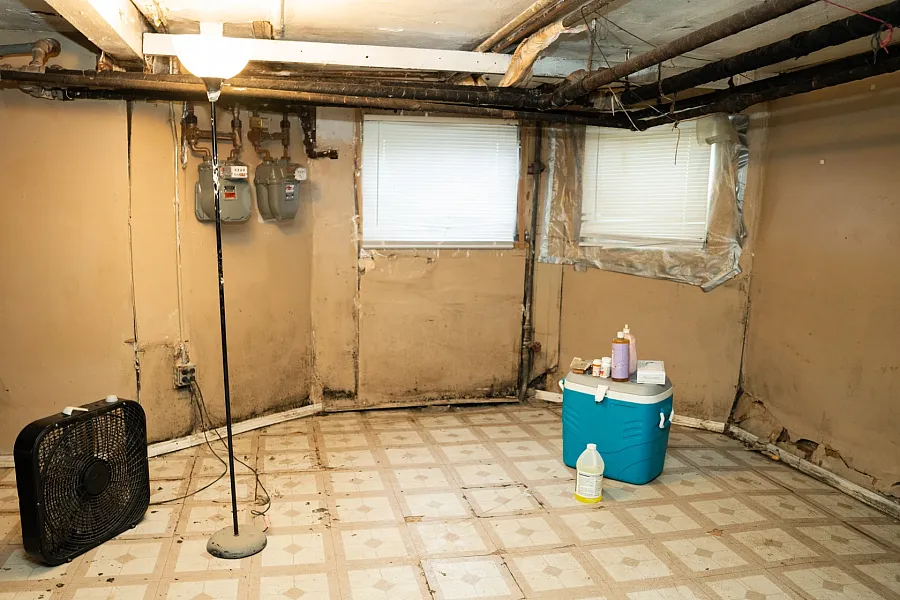 Mold covers the basement walls of a home