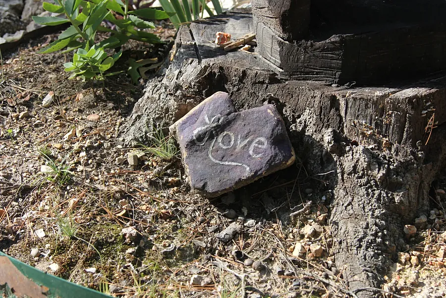 A rock with the word love written on it