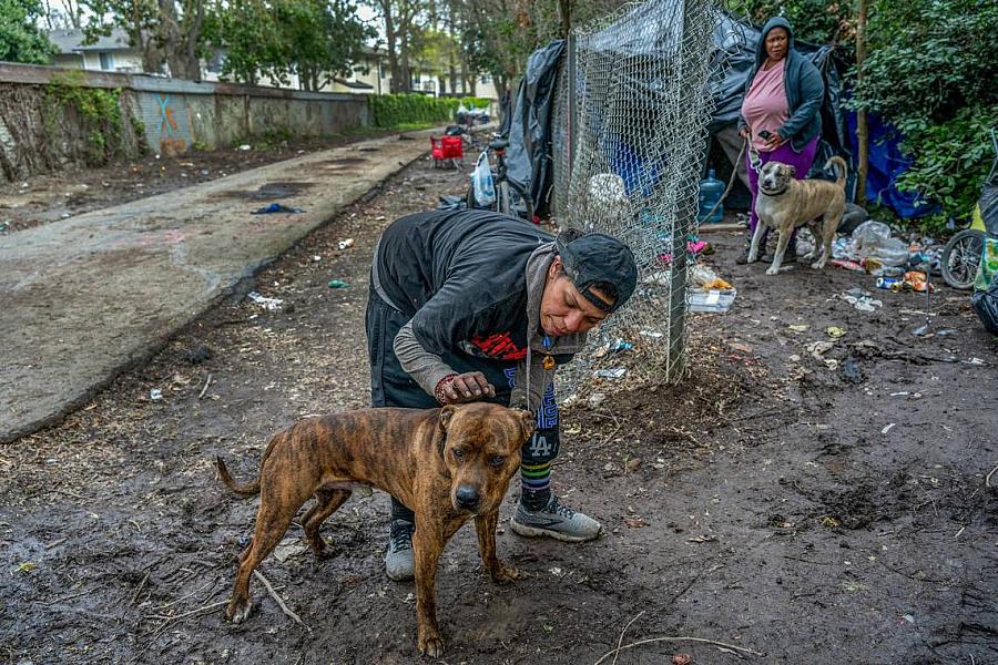Person bends to pet a dog while another woman and dog stand by a tent.