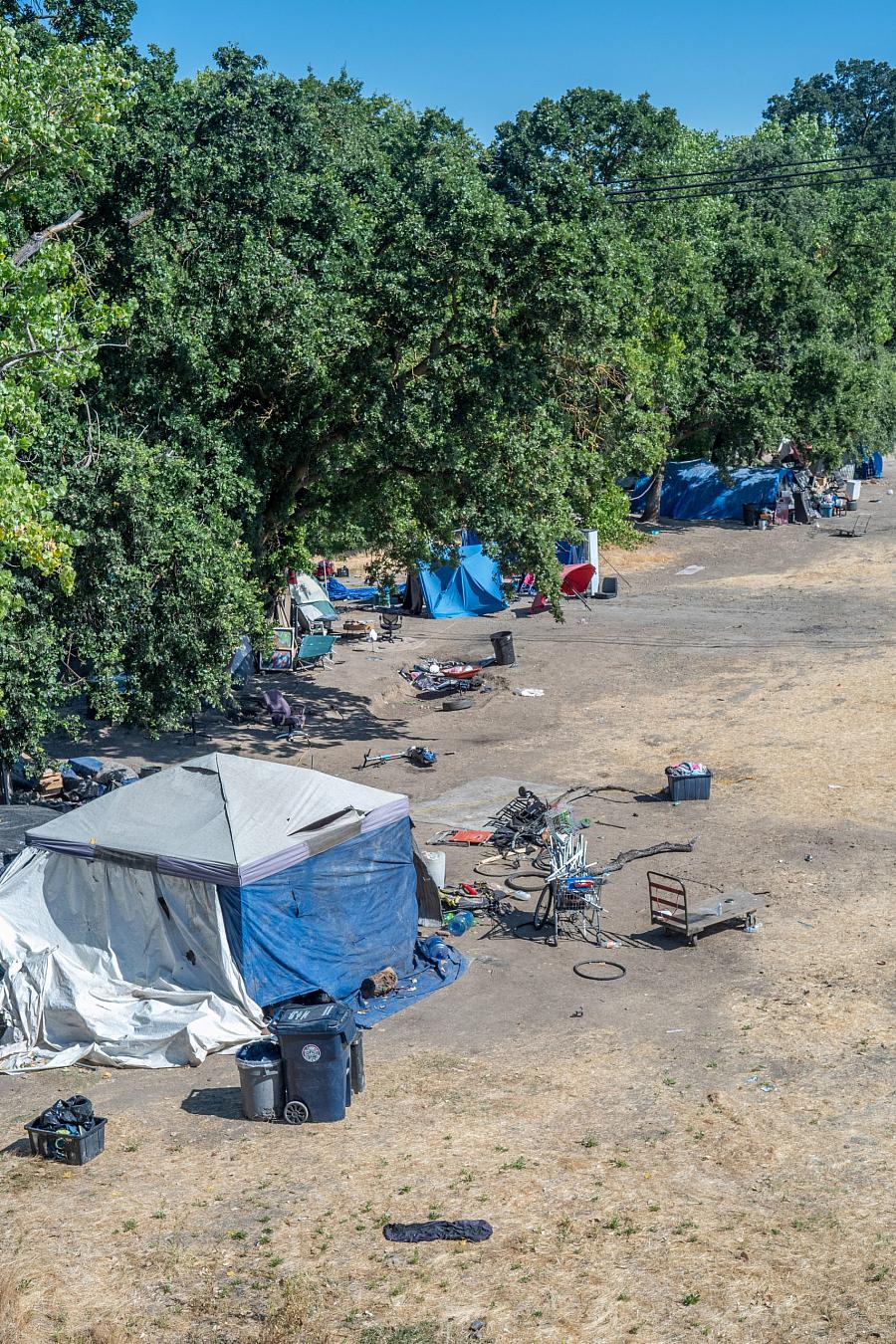Area with open land, trees and a slum