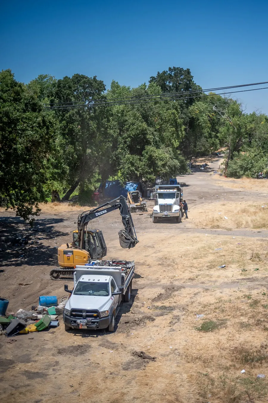 Cleaned up land and trees in background